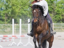 IMG-0501_web